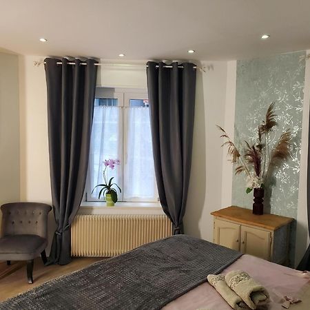 Mirka & Franck Apartment Chic 4" Stars Parking Free, Garage & Wine With Avantages Pack Colmar Exterior foto
